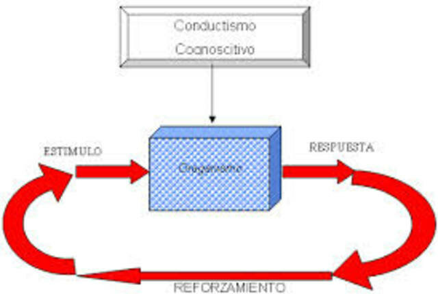 1950 Enfoque Cognoscitivista