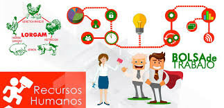 Formación recursos humanos en nutrición a nivel licenciatura