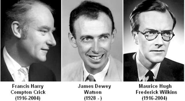 James Watson Francis Crick Maurice Wilkins