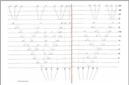 On the Origin of Species Published