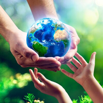 Timeline: Medio ambiente