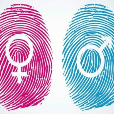 Timeline: La instrumentalidad (Masculinidad) y expresividad (Feminidad)