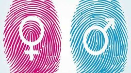 Timeline: La instrumentalidad (Masculinidad) y expresividad (Feminidad)