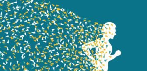 Transformación "Sanchez (2001) y Rocha (2004)"