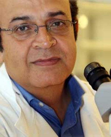 British scientists create sperm-like cells