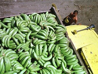 day with my father at work