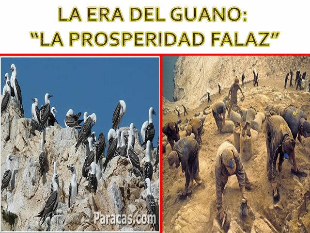 LA PROSPERIDAD FALAZ.