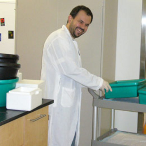 Canadian researcher creates country's first embryonic stem cell lines