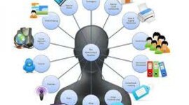 Timeline: Evolución de las modalidades educativas