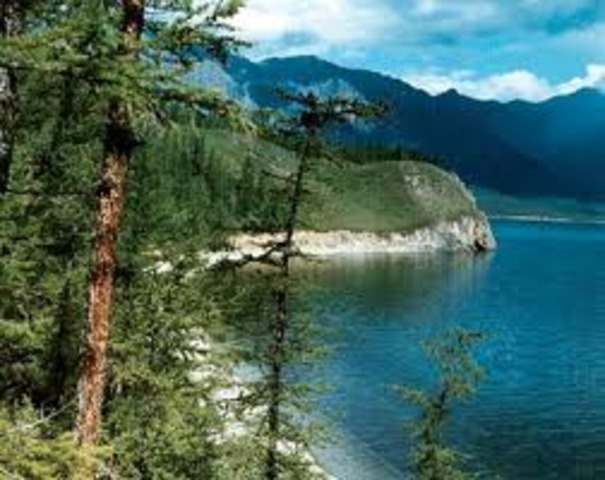 Признанный авторитет мирового экологического сообщества