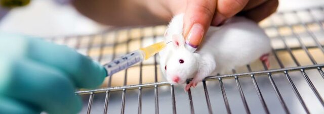 Relación de la experimentación en animales con la bioética