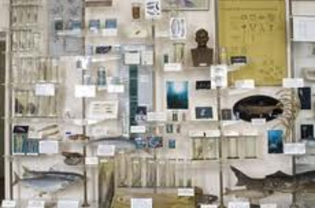 Первый директор Лимнологического института Сибирского отделения АН СССР.