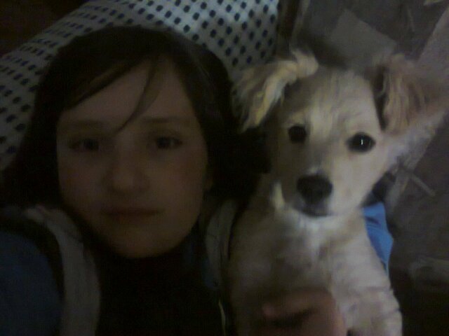 My grandmother bought me my first poppy