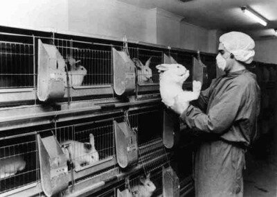 Relación de la experimentación en animales con la bioética