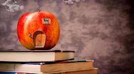 Timeline: ETAPAS DE LA EVALUACIÓN DOCENTE: ANÁLISIS DEL CAMPO DE EXCELENCIA