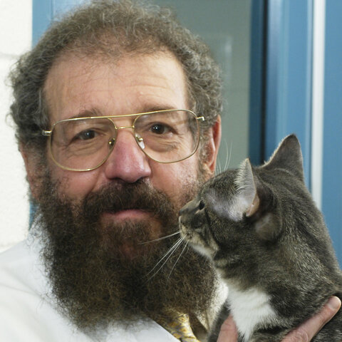 Bienestar en los animales