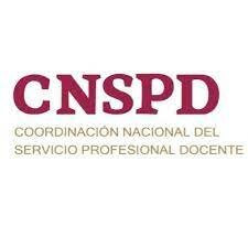 SERVICIO PROFESIONAL DOCENTE