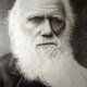 Charles darwin
