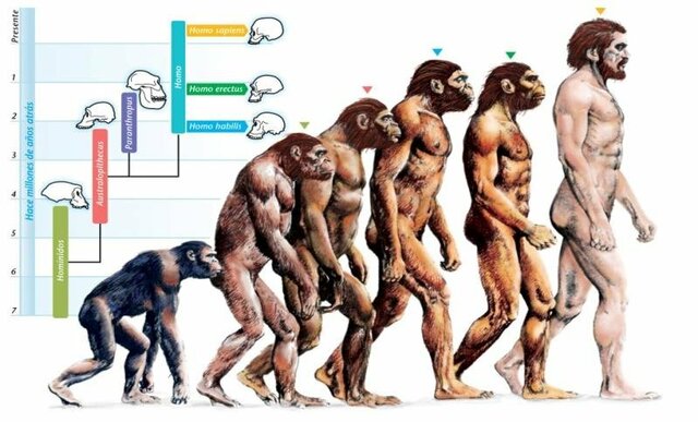 Evolution Theory