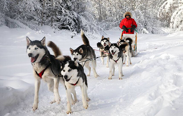 Nuevo mando, nuevo castigo.