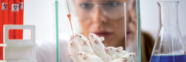 Clonación de un ratón