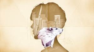 ¿Y los animales de laboratorio no tienen derecho?