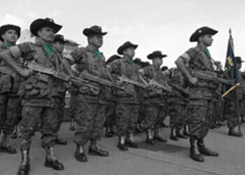 Introducción de grupos de científico para el estudio de operaciones militares