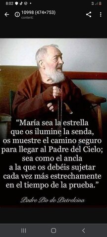 Encíclica 4: DAVINI REDEMTORIS pío XL