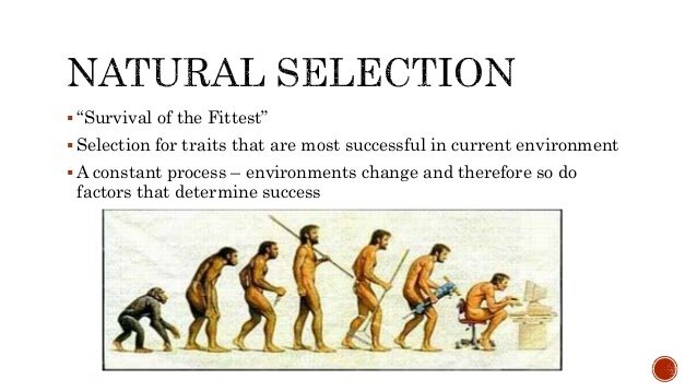 Darwin's three observations Continued