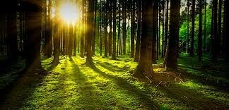 junio 3 a 14 de 1992