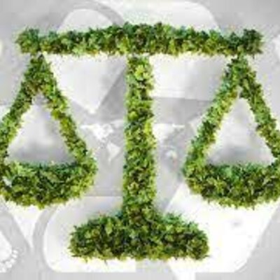 Timeline: Evolución histórica del derecho ambiental en El Salvador