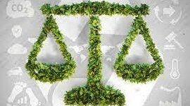 Timeline: Evolución histórica del derecho ambiental en El Salvador