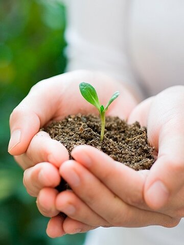 COMO DEBE TRATARSE LA TEMATICA