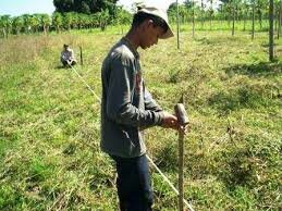 Siembra a campo Definitivo