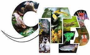 Convención sobre el Comercio Internacional de Especies Amenazadas de Fauna y Flora Silvestres (CITES)