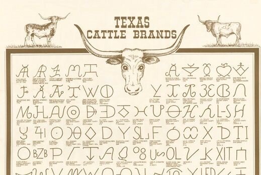 Orígenes de la marca