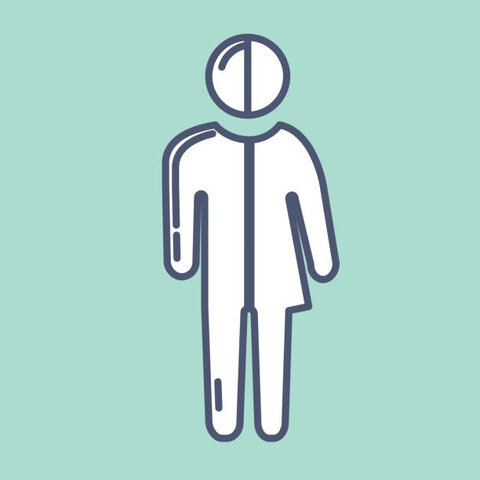 Androginia "Mental Measurement Yearbook "Mitchell (1985)"