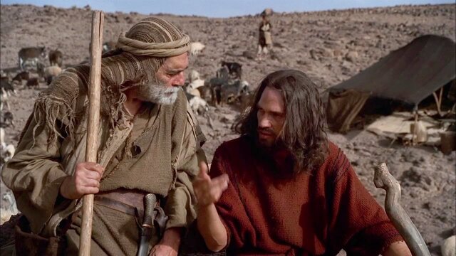 principios de organización