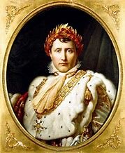 NAPOLEONE IMPERATORE DEI FRANCESI!