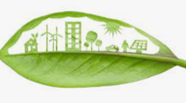 Timeline: MARKETING DIGITAL