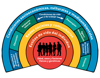 Determinantes Sociales en Salud