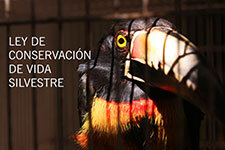 LEY DE CONSERVACION DE VIDA SILVESTRE