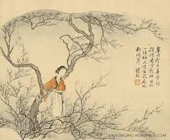 Dinastía Qing (1644 y 1911)