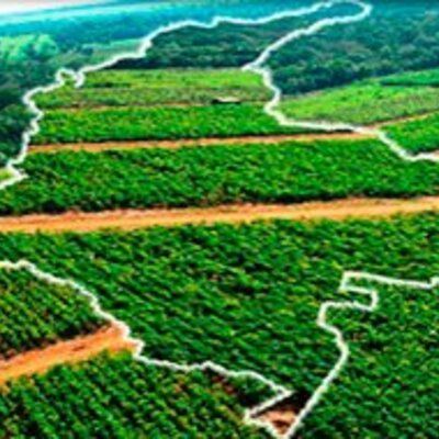 Timeline: Iguales y diferentes: entre la diversidad y los derechos