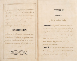 ¿Qué es la constitución?