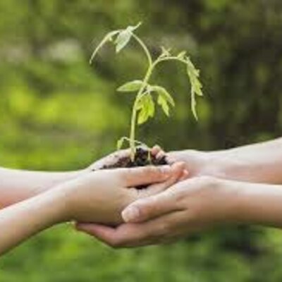 Timeline: Principales acuerdos nacionales e internacionales sobre el ambiente