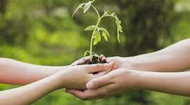 Timeline: Principales acuerdos nacionales e internacionales sobre el ambiente