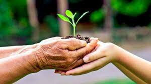 Creación del Programa de Naciones Unidas para el Medio Ambiente (PNUMA)