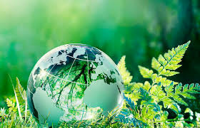 Lanzamiento del Programa ONU REDD