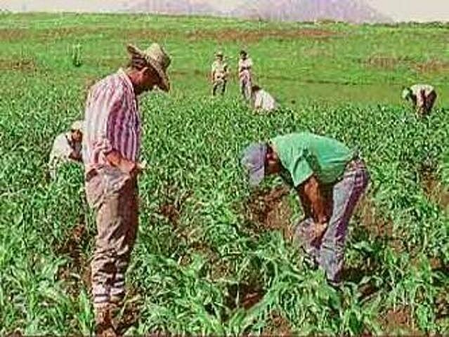 Creación del Programa de Inversiones Públicas para el Desarrollo Rural (PIDER)